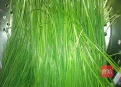 Illustration of how to make steamed buns stuffed with chives 1