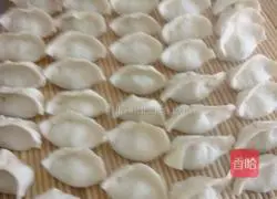 Illustration of Northeastern Celery and Pork Dumplings 8