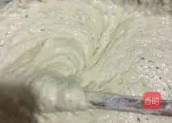 Illustration of how to make multigrain dough cakes (no kneading and no yeast) 4