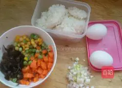 Illustration of how to make sunflower egg fried rice 1