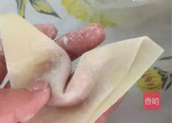 Illustration of how to make wontons 8