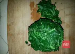 Alfalfa Pork Wontons Illustration of how to do it 2