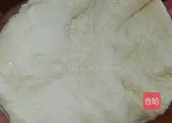 Roasted Onion Beef Pie Recipe Illustration 11