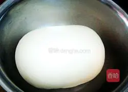 bitter Illustration of how to make bitter vegetable dumplings 1