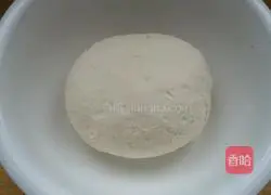 Illustration of how to make dumplings 1