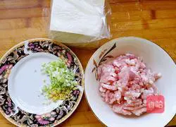 Illustration of how to make shrimp wontons 3