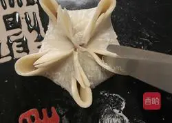 [Plum Blossom Dumplings] Recipe Illustration 9