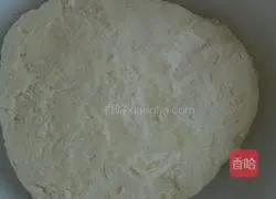 Illustration of how to make bean dregs steamed buns 4