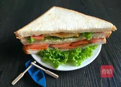 Illustration of how to make ham and egg sandwich 6