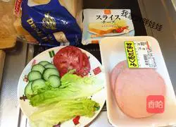 Pocket Sandwich Recipe Illustration 1