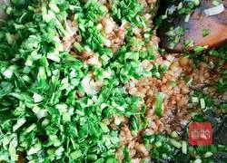 Illustration of how to make pot stickers and dumplings 3