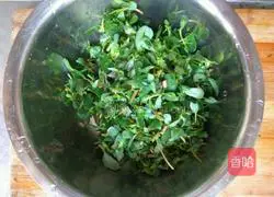 horse Illustration of how to make egg pancakes 2