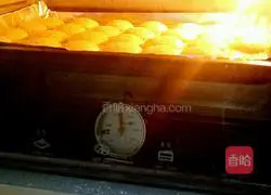 Sesame protein (thin) shortbread recipe 11