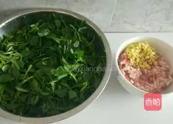 Dumplings...Alfalfa pork stuffing recipe 2