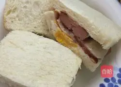 Sandwich Recipe Illustration 5