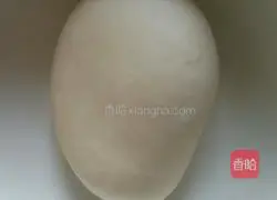 Illustration of making dumplings stuffed with mutton and carrots 14