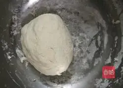 Illustration of making fungus, carrot and pork dumplings 2