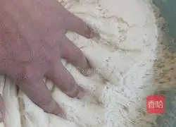 Illustration of how to make shepherd’s purse and egg-filled buns 8