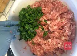 Illustration of how to make wontons 6