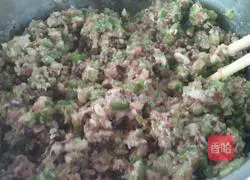 Illustration of Northeast Mushroom and Big Chili Pork Dumplings 6