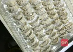 Illustration of how to make dumplings 2
