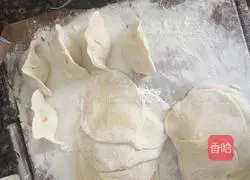 Illustration of how to make shrimp and pork dumplings 9