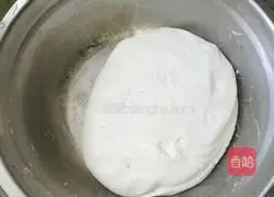 Illustration of homemade glutinous rice balls 3