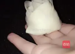 Illustrated recipes for making dumplings 10