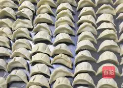 Illustration of how to make dumplings 8