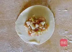 Illustration of how to make cabbage, celery and pork dumplings 7