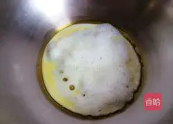 Vegetable Protein Pancake Recipe Illustration 8