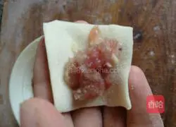 Illustration of how to wrap wontons 4