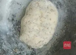 Soybean and sesame burrito recipe 5