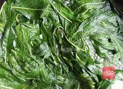 Illustration of how to make sesame leaf and pork stuffed dumplings 1