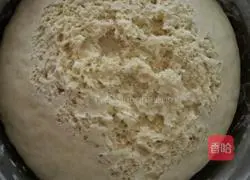 Illustration of how to make steamed buns 2