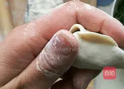 Illustration of how to make pork and spinach dumplings 12