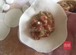 Illustration of how to make dumplings stuffed with pork and green pepper 14