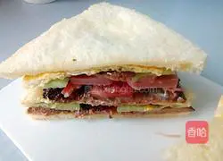 Illustration of how to make beef sandwich 14