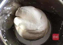 Celery Qianzhang Carrot Vegetarian Dumplings Recipe Illustration 1