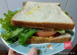 Illustration of homemade breakfast sandwich 17