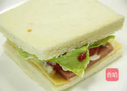 Sandwich Making Illustration 10