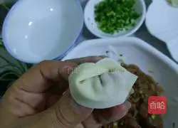 Illustration of how to make wontons 9