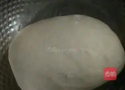 Pork and Mushroom Dumplings Recipe Illustration 2