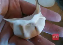 Illustration of how to wrap dumplings 10