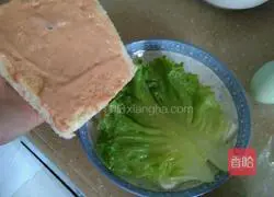 Sandwich recipe 5