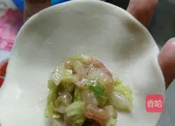 Illustration of how to make cabbage stuffed dumplings 2