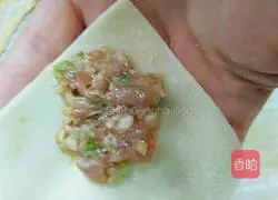 Illustration of how to make small wontons with green onion and fresh meat 10