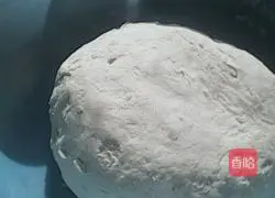 Illustration of how to make cabbage and pork dumplings 4