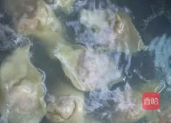 Illustration of how to make beef wontons 12