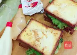 Sandwich Recipe Illustration 3